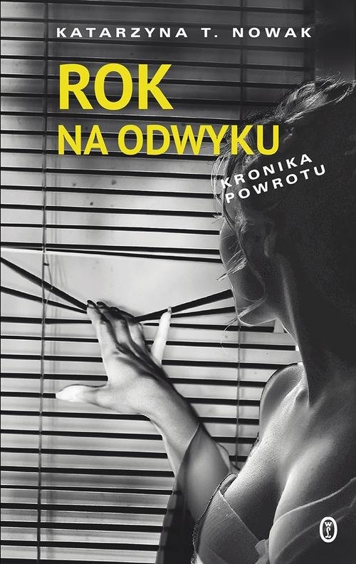 Rok na odwyku. Kronika powrotu