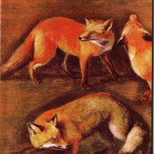 Roman de Renart Powieść o lisie