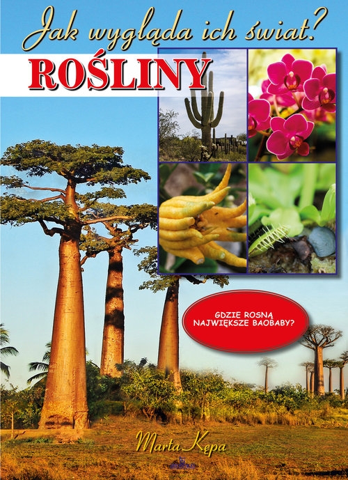Rośliny. Jak wygląda ich świat?
