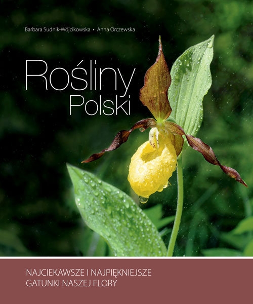 Rośliny Polski