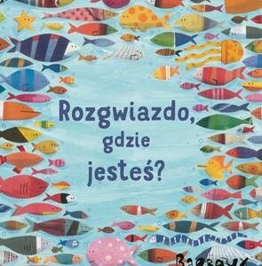 Rozgwiazdo, gdzie jesteś?