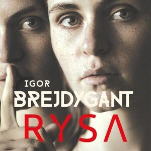 Rysa