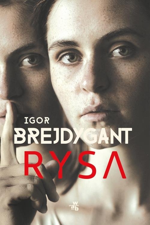 Rysa