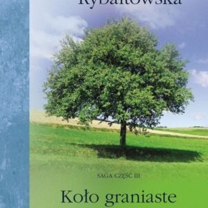 Saga, część 3. Koło graniaste, wydanie 2019