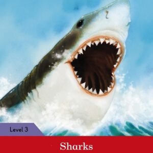 Sharks Activity Book