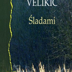 Śladami