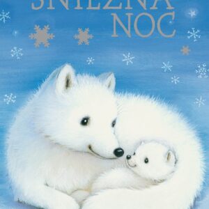 Śnieżna noc