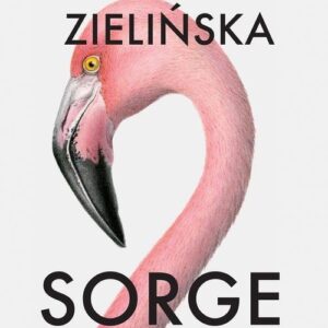 Sorge