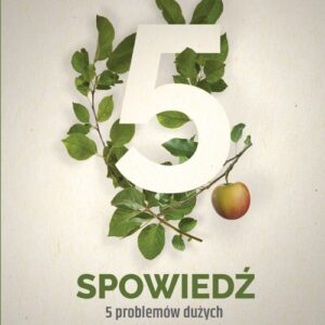 Spowiedź (Audiobook). 5 problemów dużych 5 problemów małych