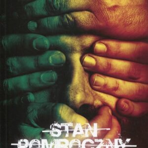 Stan pomroczny