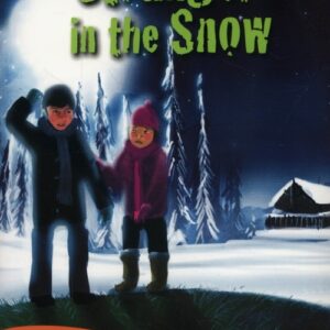 Stranger in the Snow Level 3