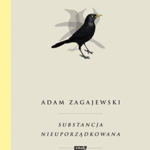 Substancja nieuporządkowana