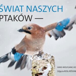 Świat naszych ptaków