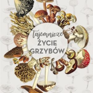 Tajemnicze życie grzybów