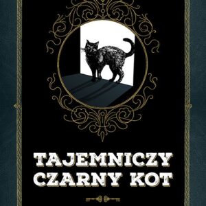 Tajemniczy czarny kot. Legendy i przesądy