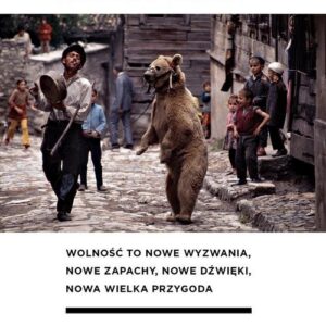 Tańczące niedźwiedzie