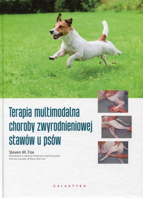 Terapia multimodalna choroby zwyrodnieniowej stawów u psów