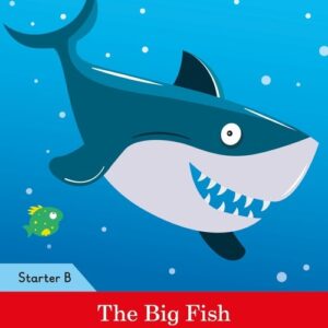 The Big Fish Activity Book