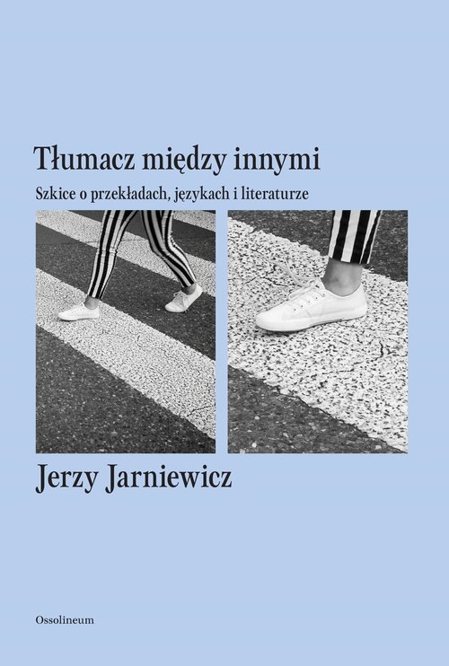 Tłumacz między innymi. Szkice o przekładach, językach i literaturze