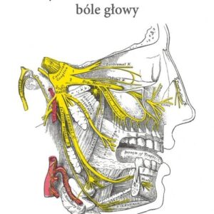 Trójdzielno-autonomiczne bóle głowy