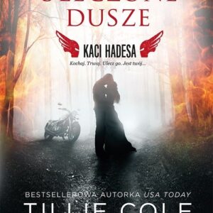 Uleczone dusze Kaci Hadesa