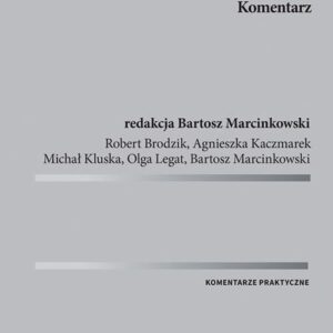 Ustawa o ochronie danych osobowych Komentarz