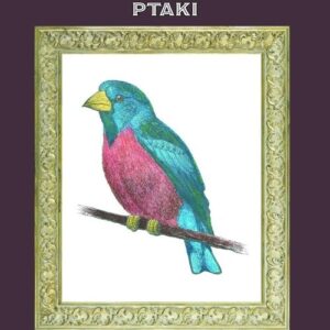 Vintage Art Ptaki