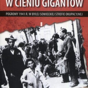 W cieniu gigantów Pogromy w 1941 r. w byłej sowieckiej strefie okupacyjnej. Kontekst historyczny, społeczny i kulturowy