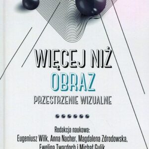 Więcej niż obraz Tom 2 Przestrzenie wizualne