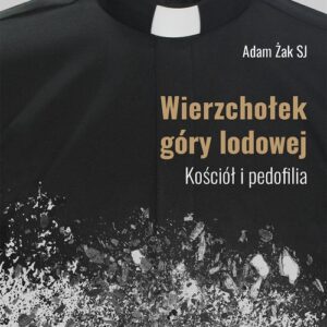 Wierzchołek góry lodowej. Kościół i pedofilia