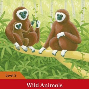 Wild Animals Activity Book
