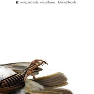 Wsie, animalia, miscellanea