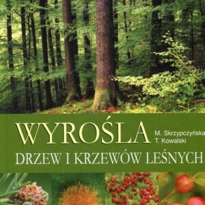 Wyrośla drzew i krzewów leśnych