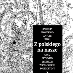 Z polskiego na nasze czyli prywatny leksykon współczesnej polszczyzny