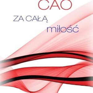 Za całą miłość
