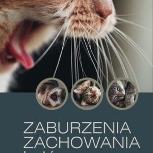 Zaburzenia zachowania kotów