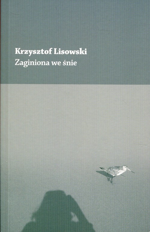 Zaginiona we śnie