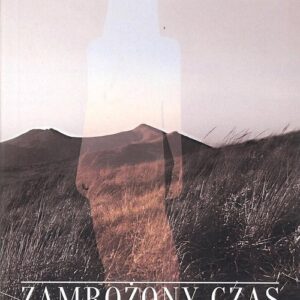 Zamrożony czas