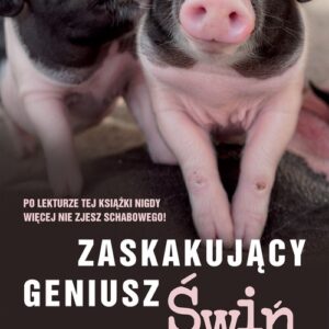 Zaskakujący geniusz świń
