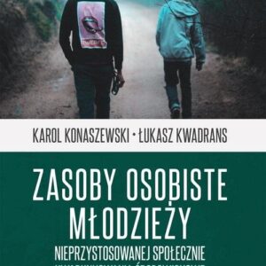 Zasoby osobiste młodzieży nieprzystosowanej społecznie. Uwarunkowania środowiskowe