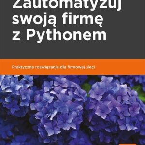 Zautomatyzuj swoją firmę z Pythonem. Praktyczne rozwiązania dla firmowej sieci