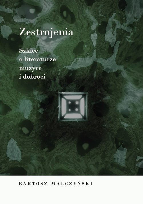 Zestrojenia. Szkice o literaturze, muzyce i dobroci
