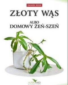 Złoty Wąs albo domowy Żeń-Szeń