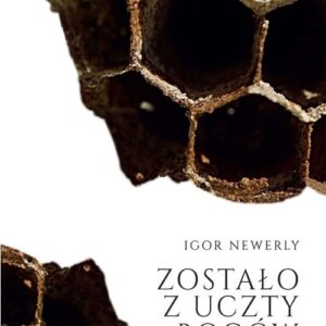 Zostało z uczty bogów
