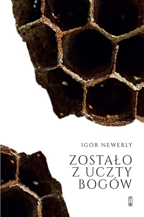 Zostało z uczty bogów