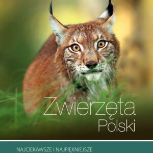 Zwierzęta Polski