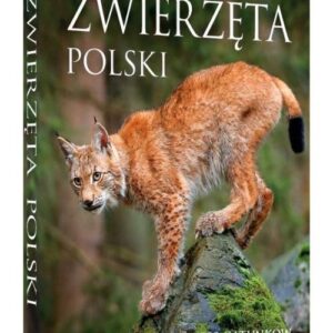 Zwierzęta Polski.. Szczegółowe opisy 300 gatunków