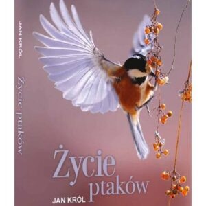 Życie Ptaków