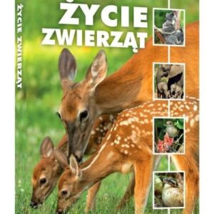 Życie zwierząt